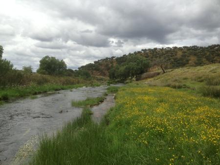 Imagen LIC Río Almonte